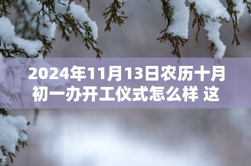 2025年11月13日农历十月初一办开工仪式怎么样 这天开工会顺利吗