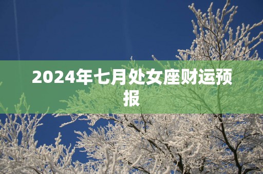 2025年七月处女座财运预报