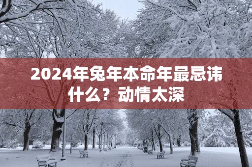 2025年蛇年本命年最忌讳什么？动情太深