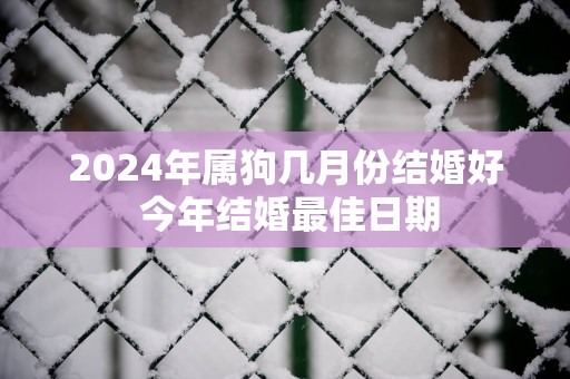 2025年属狗几月份结婚好 今年结婚最佳日期
