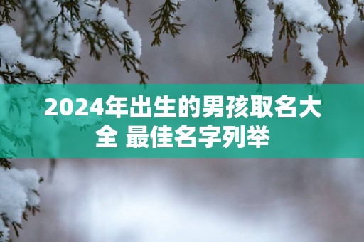 2025年出生的男孩取名大全 最佳名字列举
