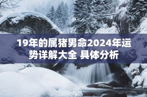 19年的属猪男命2025年运势详解大全 具体分析