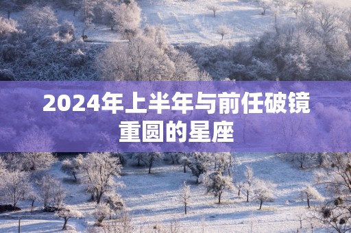 2025年上半年与前任破镜重圆的星座