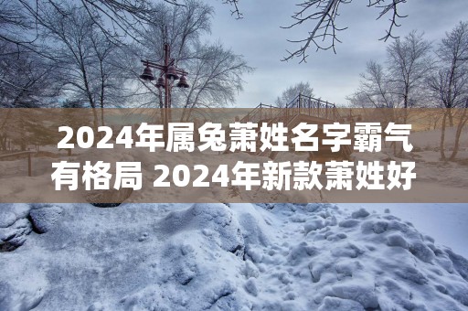 2025年属兔萧姓名字霸气有格局 2025年新款萧姓好听的名字