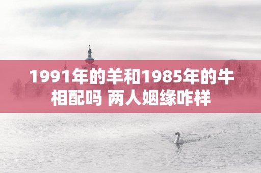 1991年的羊和1985年的牛相配吗 两人姻缘咋样