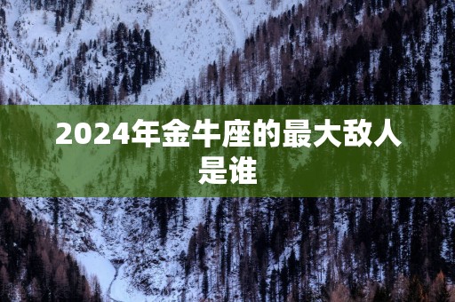 2025年金牛座的最大敌人是谁