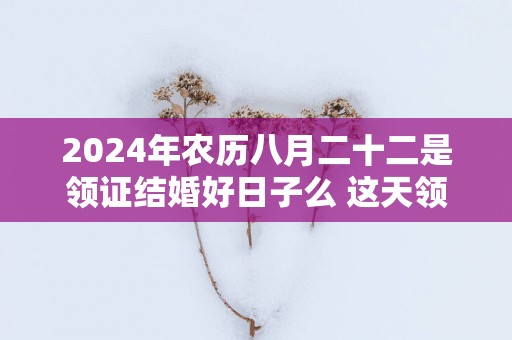 2025年农历八月二十二是领证结婚好日子么 这天领结婚证好不好