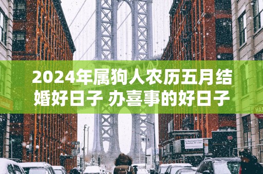 2025年属狗人农历五月结婚好日子 办喜事的好日子