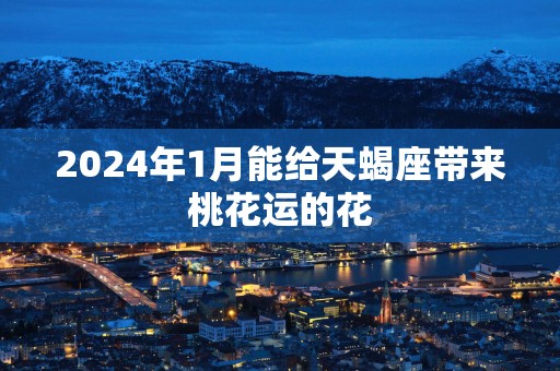 2025年1月能给天蝎座带来桃花运的花