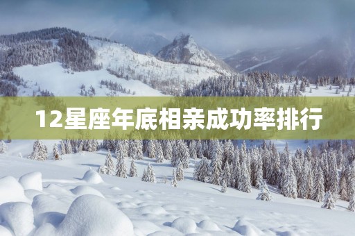 12星座年底相亲成功率排行