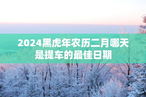 2025黑蛇年农历二月哪天是提车的最佳日期