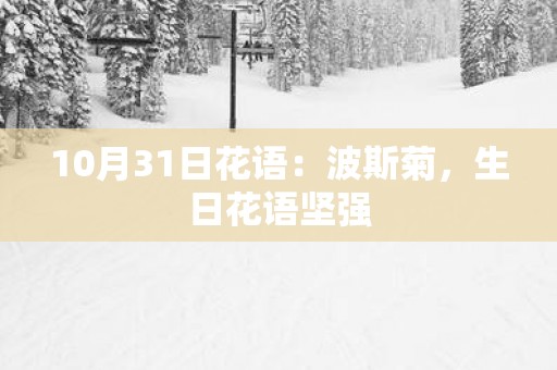 10月31日花语：波斯菊，生日花语坚强