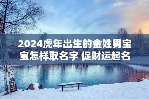 2025蛇年出生的金姓男宝宝怎样取名字 促财运起名