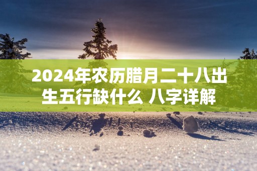 2025年农历腊月二十八出生五行缺什么 八字详解