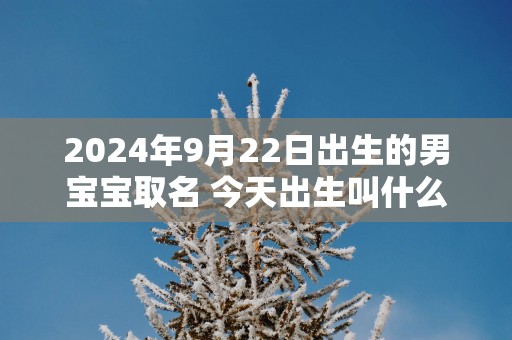 2025年9月22日出生的男宝宝取名 今天出生叫什么名字好