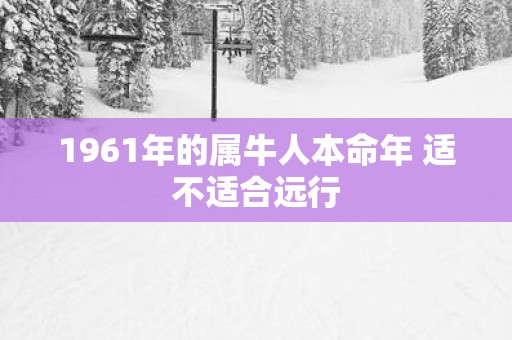 1961年的属牛人本命年 适不适合远行