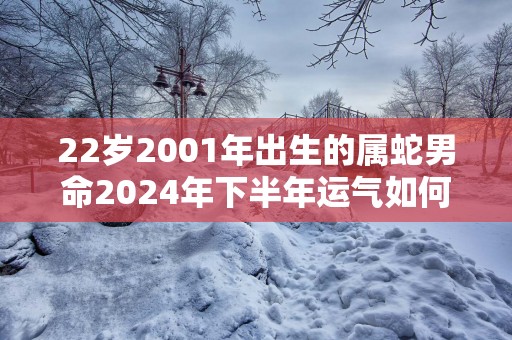 22岁2001年出生的属蛇男命2025年下半年运气如何 运势详解