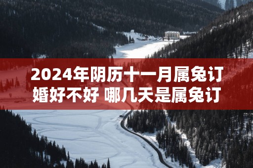 2025年阴历十一月属兔订婚好不好 哪几天是属兔订婚吉日