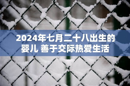 2025年七月二十八出生的婴儿 善于交际热爱生活