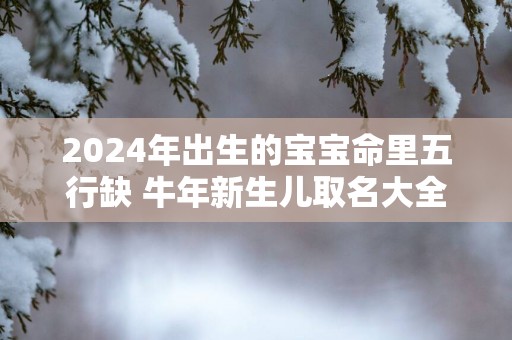 2025年出生的宝宝命里五行缺 蛇年新生儿取名大全