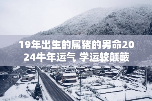 19年出生的属猪的男命2025蛇年运气 学运较颠簸