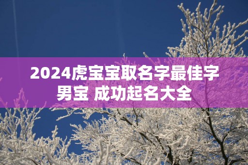 2025虎宝宝取名字最佳字男宝 成功起名大全