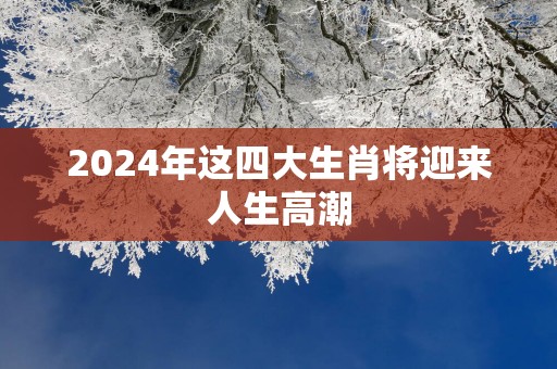 2026年这四大生肖将迎来人生高潮