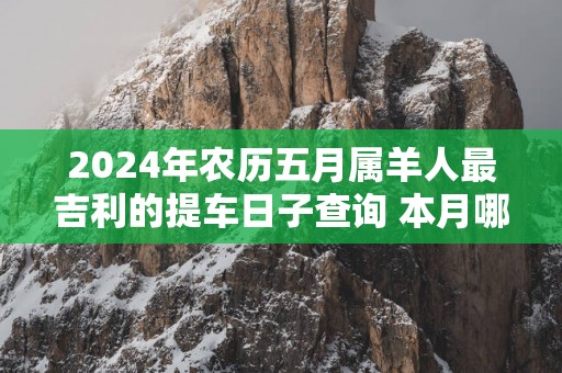 2025年农历五月属羊人最吉利的提车日子查询 本月哪天宜买车上牌