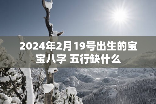 2025年2月19号出生的宝宝八字 五行缺什么