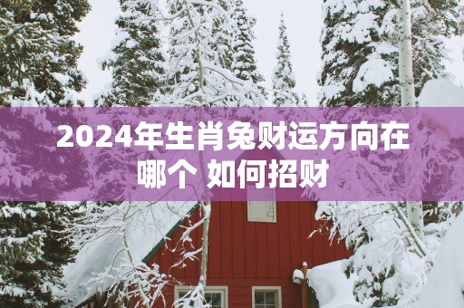 2025年生肖兔财运方向在哪个 如何招财
