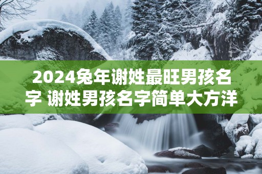 2025蛇年谢姓最旺男孩名字 谢姓男孩名字简单大方洋气