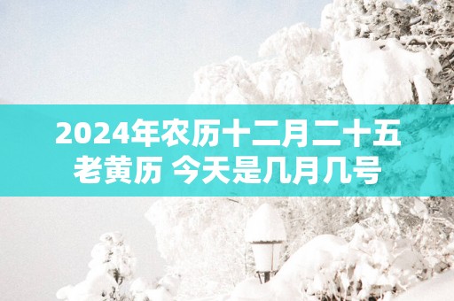 2025年农历十二月二十五老黄历 今天是几月几号