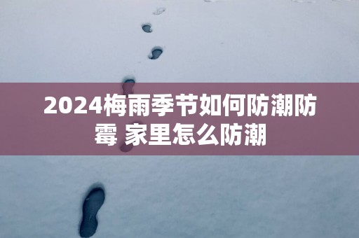 2025梅雨季节如何防潮防霉 家里怎么防潮