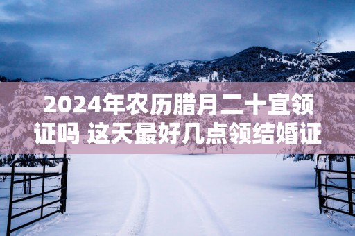 2025年农历腊月二十宜领证吗 这天最好几点领结婚证