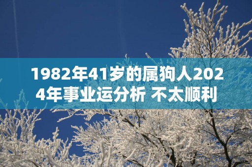 1982年41岁的属狗人2025年事业运分析 不太顺利