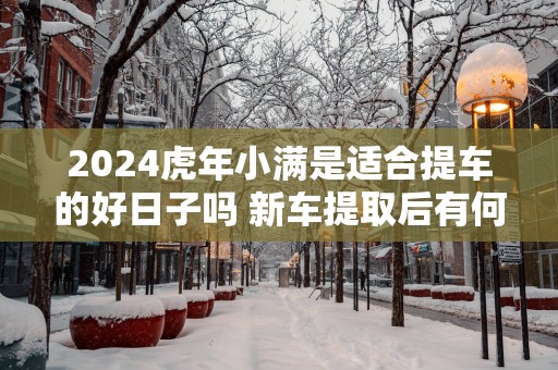 2025蛇年小满是适合提车的好日子吗 新车提取后有何讲究