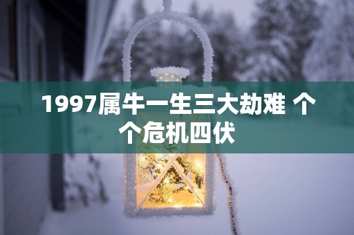 1997属牛一生三大劫难 个个危机四伏