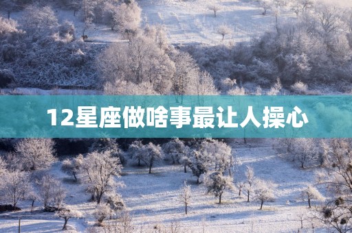 12星座做啥事最让人操心