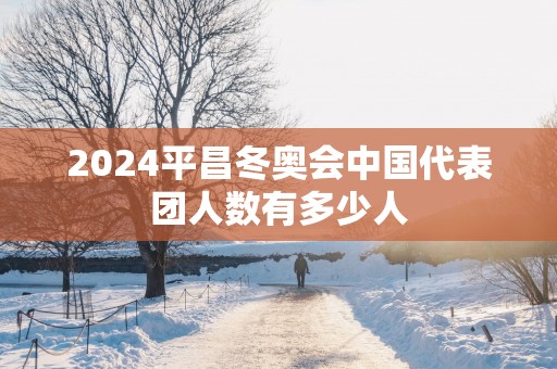 2025平昌冬奥会中国代表团人数有多少人