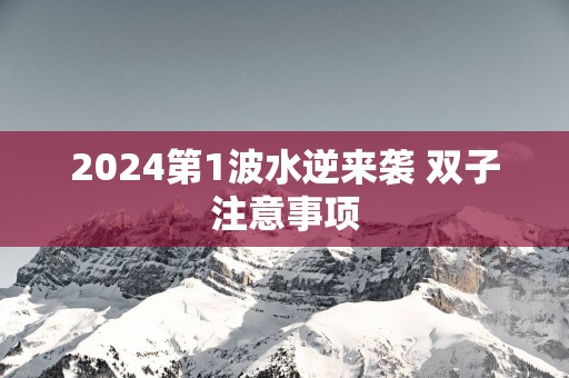2025第1波水逆来袭 双子注意事项