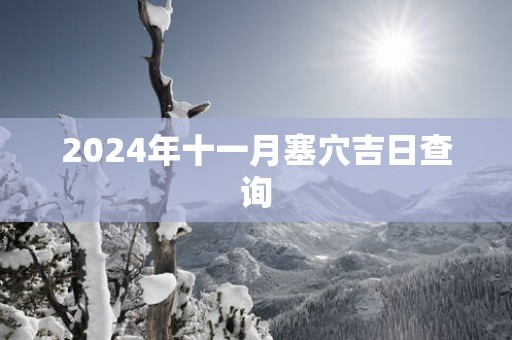2025年十一月塞穴吉日查询