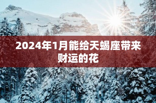 2025年1月能给天蝎座带来财运的花