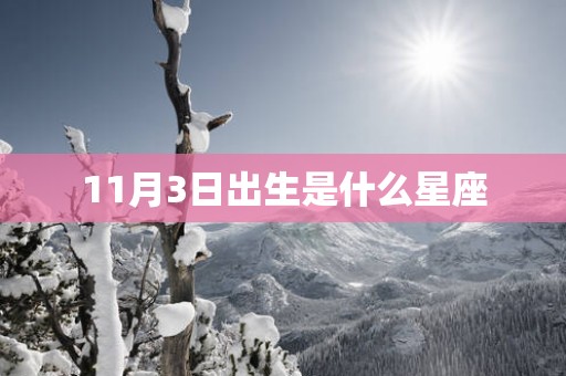 11月3日出生是什么星座