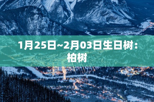 1月25日~2月03日生日树：柏树