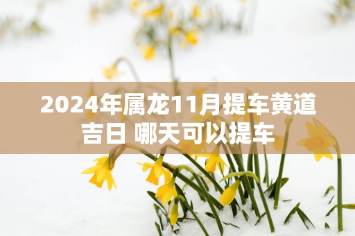 2025年属龙11月提车黄道吉日 哪天可以提车