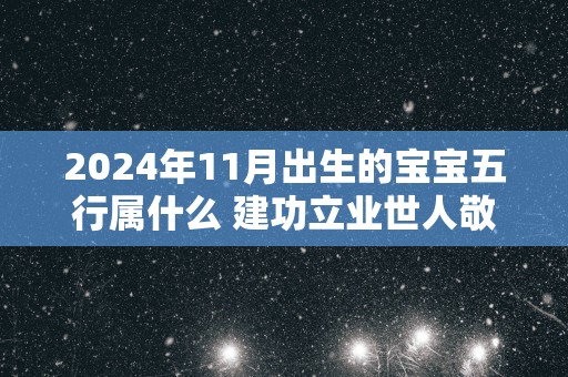 2025年11月出生的宝宝五行属什么 建功立业世人敬重