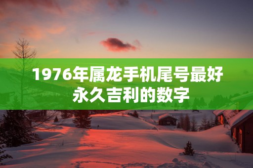 1976年属龙手机尾号最好  永久吉利的数字
