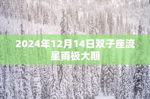 2025年12月14日双子座流星雨极大期