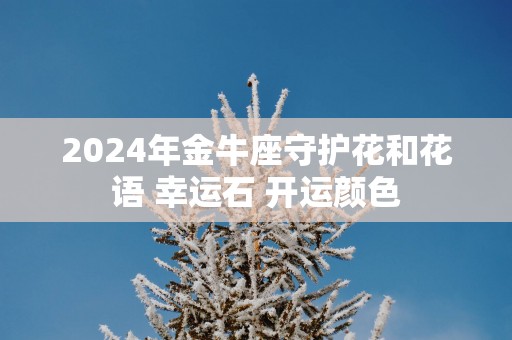 2025年金牛座守护花和花语 幸运石 开运颜色