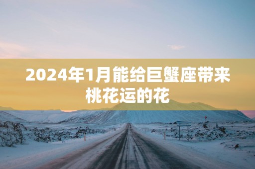 2024年1月能给巨蟹座带来桃花运的花